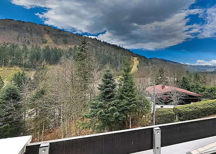 Apartmán Moho Des Oursons - Pistes De A 450m